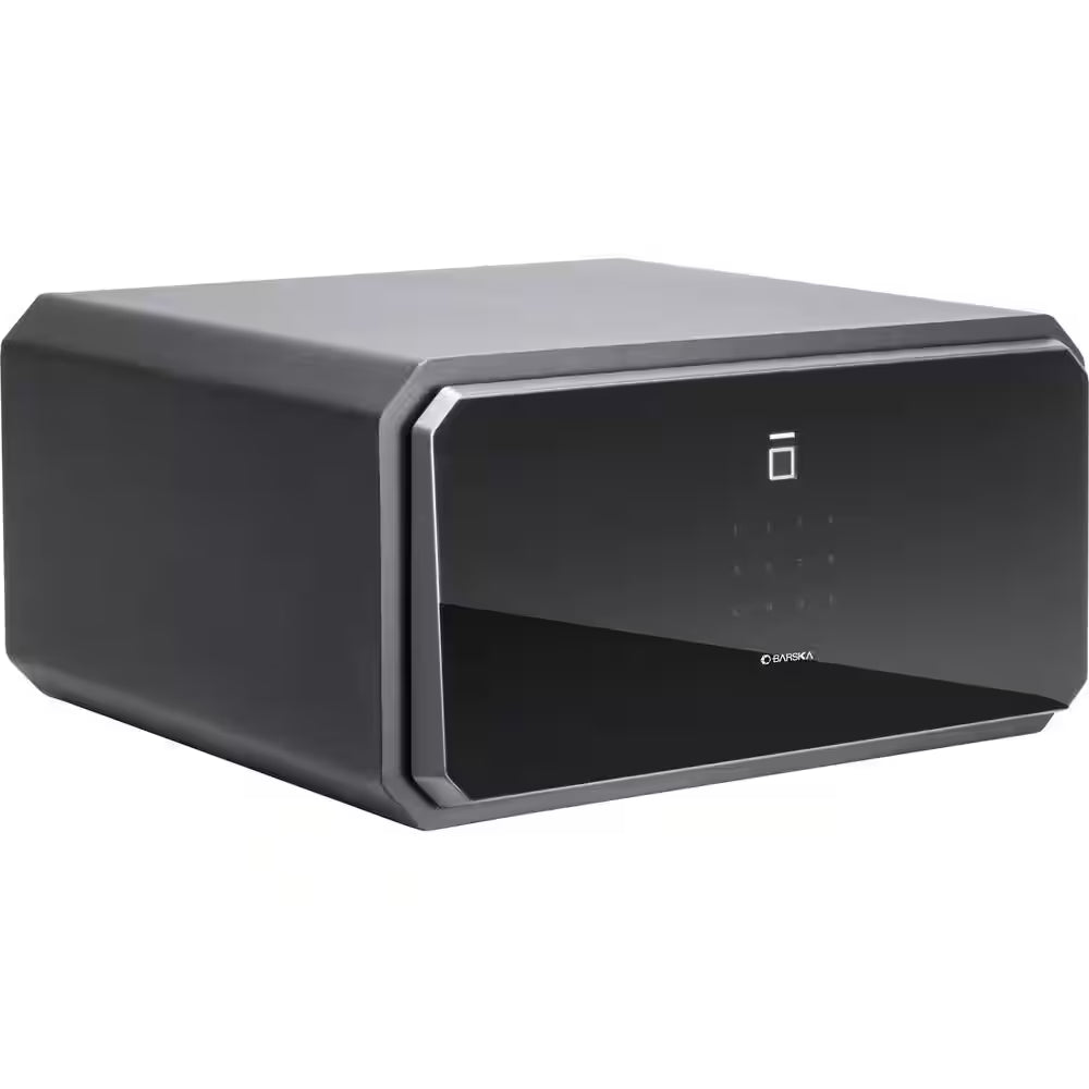 1.09 Cu. Ft. Touchscreen Biometric Keypad Security Safe