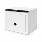 0.92 Cu. Ft. Touchscreen Biometric Keypad Security Safe